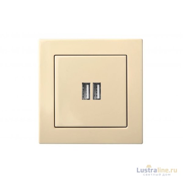 Розетка USB двойная для зарядки умная 5V(3,4А) Liregus Epsilon 28-0712