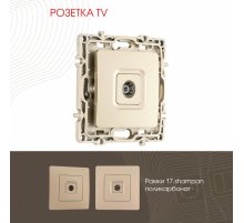 Розетка TV Arte Milano 217.43-1.shampan