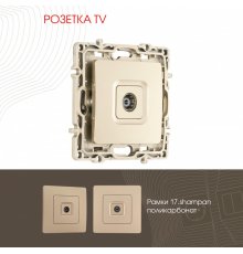 Розетка TV Arte Milano 217.43-1.shampan