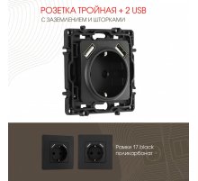 Розетка с заземлением, шторками + 2 USB Arte Milano 217.47-1.black