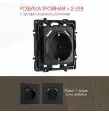 Розетка с заземлением, шторками + 2 USB Arte Milano 217.47-1.black