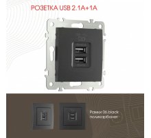 Розетка USB 2.1А+1А Arte Milano 206.46-1.black
