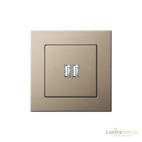 Розетка USB двойная для зарядки умная 5V(3,4А) Liregus Epsilon 28-3242
