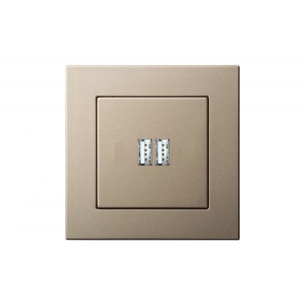 Розетка USB двойная для зарядки умная 5V(3,4А) Liregus Epsilon 28-3242