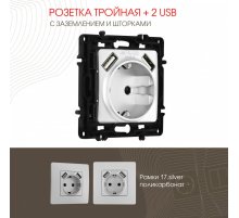 Розетка с заземлением, шторками + 2 USB Arte Milano 217.47-1.silver