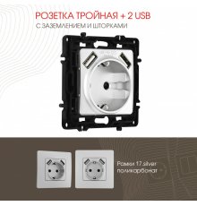 Розетка с заземлением, шторками + 2 USB Arte Milano 217.47-1.silver