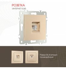 Розетка RJ45 Arte Milano 206.45-1.shampan