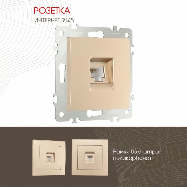 Розетка RJ45 Arte Milano 206.45-1.shampan