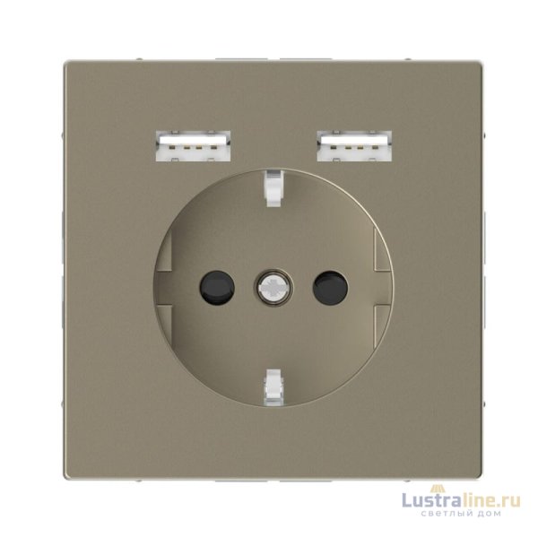 Розетка компьютерная USBx2 Schneider Electric Merten D-Life MTN2366-6033