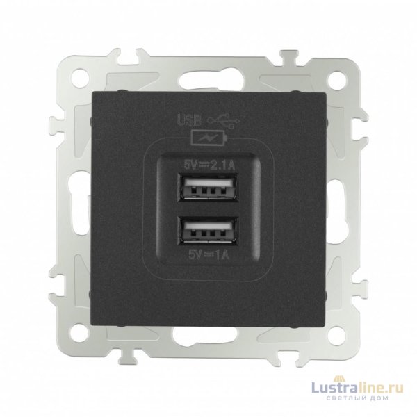 Розетка USB 2.1А+1А Arte Milano 206.46-1.black