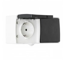 Розетка с заземлением и шторками + выключатель одноклавишный Arte Milano 309.52-1.grey