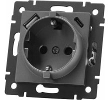 Механизм розетки с USB зарядкой Arlight SCT-MUAC-PL-GR-V (250V, 16A) 049831