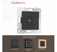 Розетка TV Arte Milano 203.43-1.black