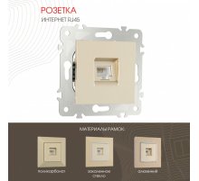 Розетка RJ45 Arte Milano 203.45-1.shampan