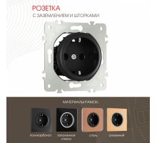 Розетка с заземлением и шторками Arte Milano 202.40-1.black