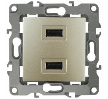 Розетка USB Эра 12-4110-04 Б0027494