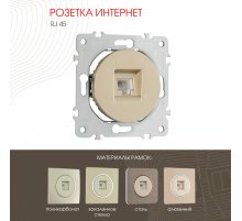 Розетка RJ45 Arte Milano 202.45-1.shampan