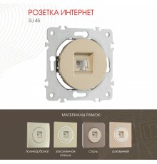 Розетка RJ45 Arte Milano 202.45-1.shampan