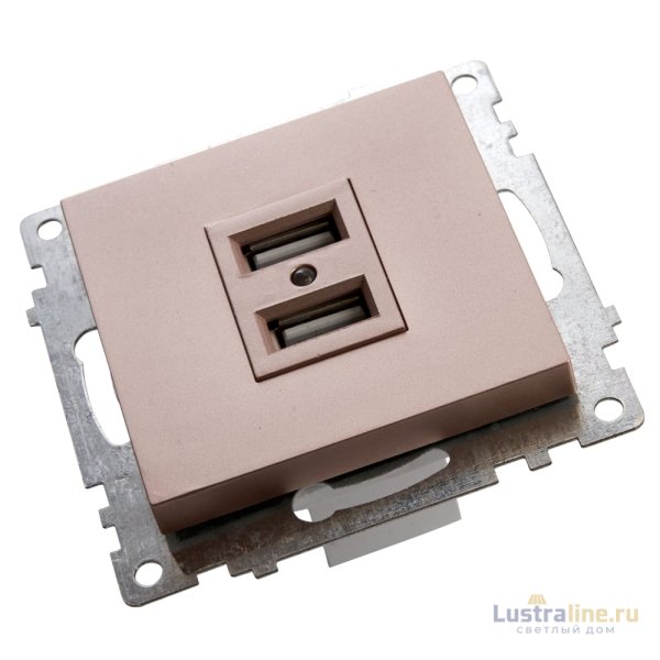 Розетка USB 2-местная Stekker Катрин 39602