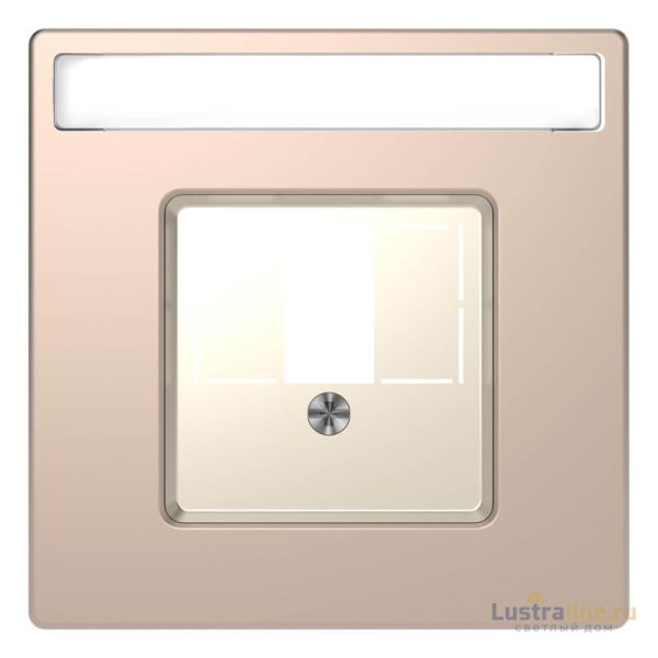 Накладка Schneider Electric Merten D-Life MTN4250-6051