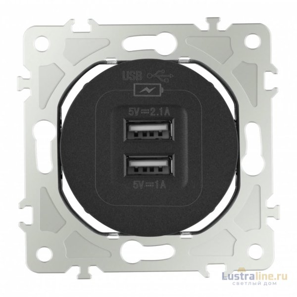 Розетка USB 2.1А+1А Arte Milano 202.46-1.black