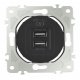 Розетка USB 2.1А+1А Arte Milano 202.46-1.black