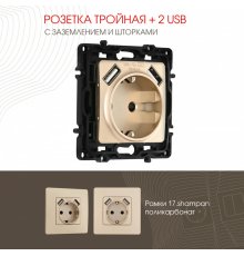 Розетка с заземлением, шторками + 2 USB Arte Milano 217.47-1.shampan