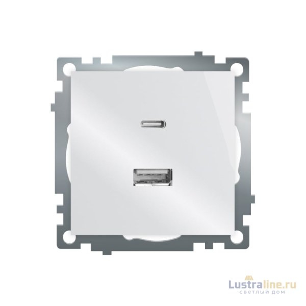 Розетка 2-местная USB + type C Stekker Катрин GLS10-7116-01 50051