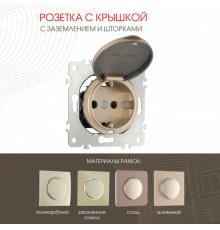 Розетка с заземлением, шторками и защитной крышкой Arte Milano 202.41-1.shampan