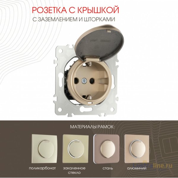 Розетка с заземлением, шторками и защитной крышкой Arte Milano 202.41-1.shampan
