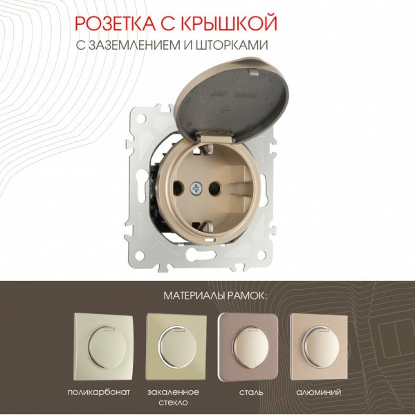 Розетка с заземлением, шторками и защитной крышкой Arte Milano 202.41-1.shampan