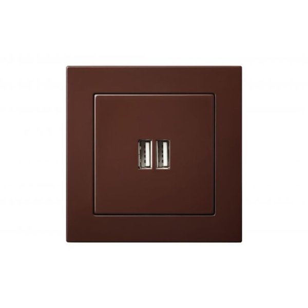 Розетка USB двойная для зарядки умная 5V(3,4А) Liregus Epsilon 28-1453