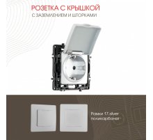 Розетка с заземлением, шторками и защитной крышкой Arte Milano 217.41-1.silver