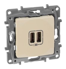 Розетка 2хUSB Legrand Etika слоновая кость 672394