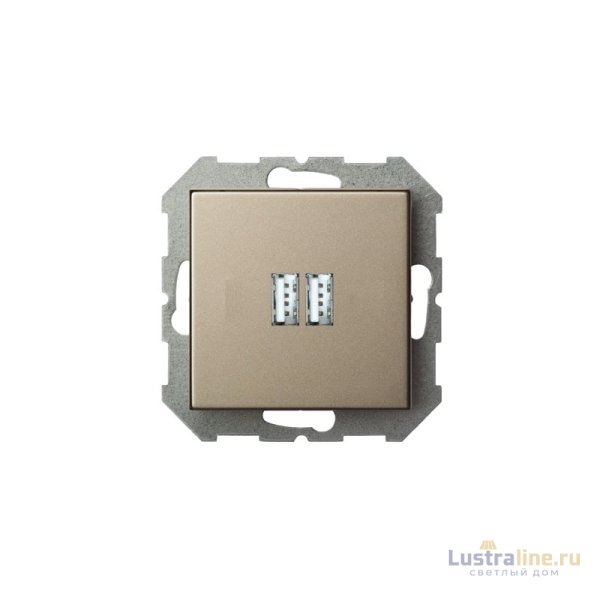 Розетка USB двойная для зарядки умная 5V(3,4А) Liregus Epsilon 28-3242