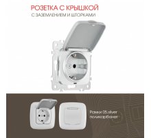 Розетка с заземлением, шторками и защитной крышкой Arte Milano 205.41-1.silver