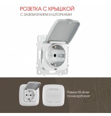 Розетка с заземлением, шторками и защитной крышкой Arte Milano 205.41-1.silver