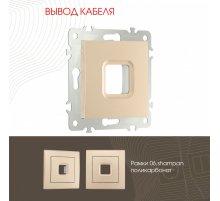 Вывод кабеля Arte Milano 206.49-1.shampan