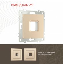 Вывод кабеля Arte Milano 206.49-1.shampan