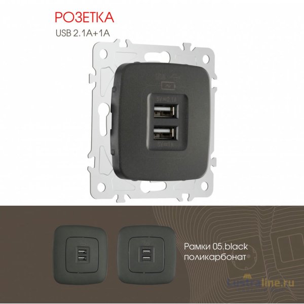 Розетка USB 2.1А+1А Arte Milano 205.46-1.black