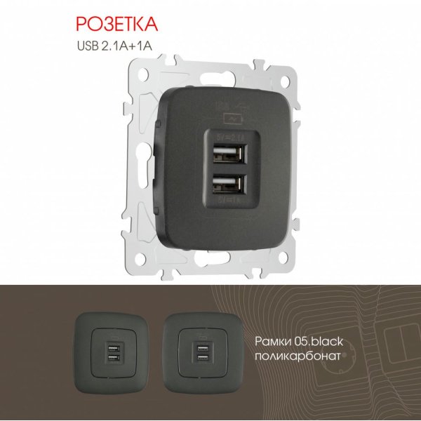 Розетка USB 2.1А+1А Arte Milano 205.46-1.black