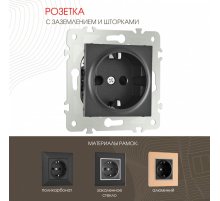 Розетка с заземлением и шторками Arte Milano 203.40-1.black