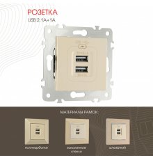Розетка USB 2.1А+1А Arte Milano 203.46-1.shampan