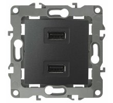 Розетка USB Эра 12-4110-05 Б0027495
