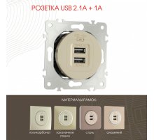 Розетка USB 2.1А+1А Arte Milano 202.46-1.shampan
