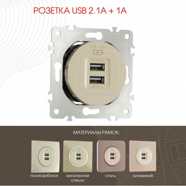 Розетка USB 2.1А+1А Arte Milano 202.46-1.shampan