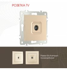 Розетка TV Arte Milano 206.43-1.shampan
