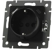 Механизм розетки с USB зарядкой Arlight SCT-MUAC-PL-BK-V (250V, 16A) 049830