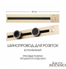 Встраиваемый шинопровод с выключателем Arte Milano Am-track-sockets 385205TBB/50 Gold