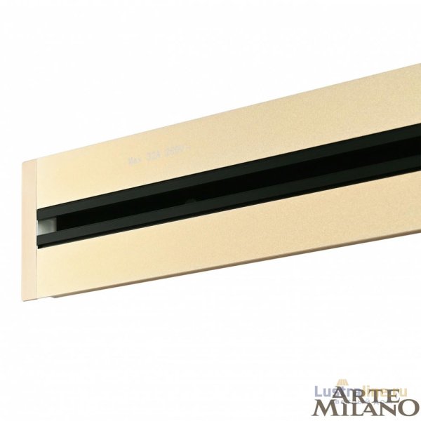 Встраиваемый шинопровод с выключателем Arte Milano Am-track-sockets 385205TBB/50 Gold